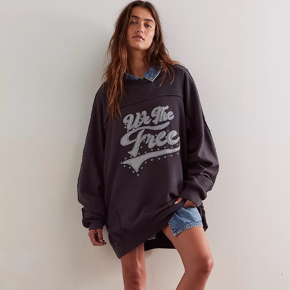 Free People We The Free What A Stud Pullover